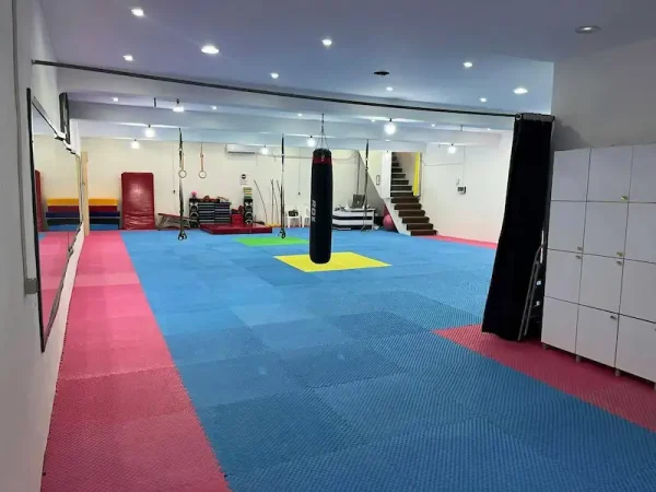 آکادمی ژیمناستیک و تکواندو عبدالهی