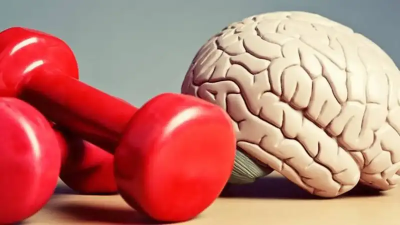 تاثیر ورزش بر مغز