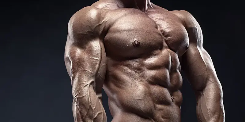 تمرینات کات بدنسازی