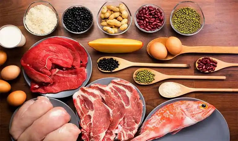 تأثیر پروتئین در ریکاوری عضلات