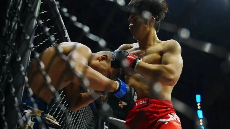 ورزش MMA